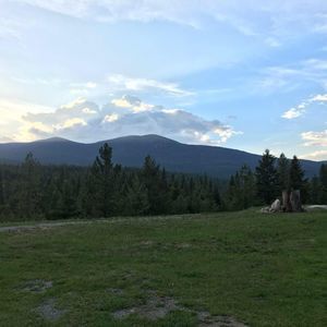 Meet your Posher, Ricci